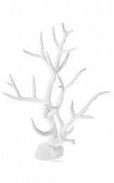 Аква декор Barbus Пластиковый коралл белый Decor 253