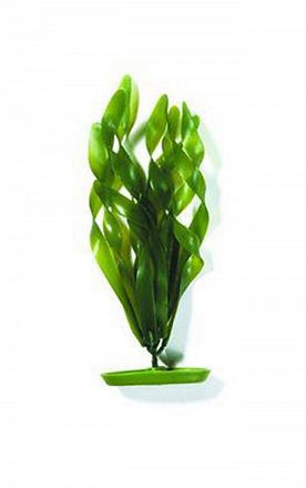 Растение пластиковое Валлиснерия спиральная,  зеленое 