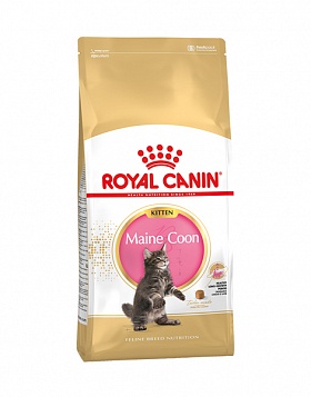 Royal Canin Maine Coon Kitten сухой корм для котят породы Мэйн Кун  в возрасте от 3 до 15 месяцев