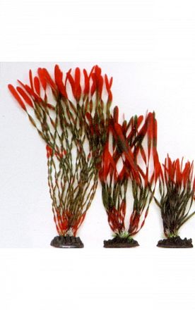 Растение пластиковое Валлиснерия спиральная,  красно-зеленое