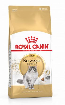 Royal Canin Norwegian Forest Adult сухой корм для кошек породы норвежская лесная